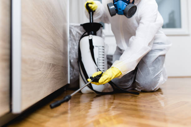 Best Cockroach Control Services  in Garden City, MI