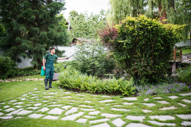 Best Wasp Removal Services  in Garden City, MI
