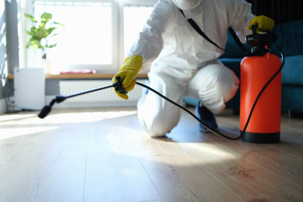Reliable Garden City, MI Pest Control Solutions