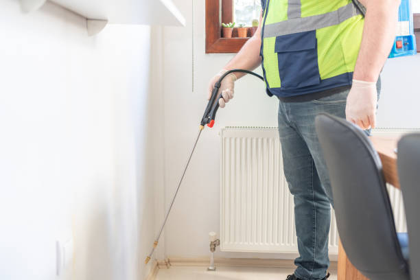 Best Rat Extermination Near Me  in Garden City, MI
