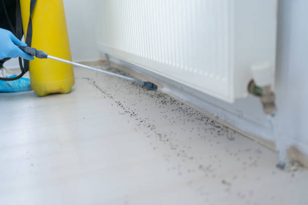 Best Pest Prevention Services  in Garden City, MI