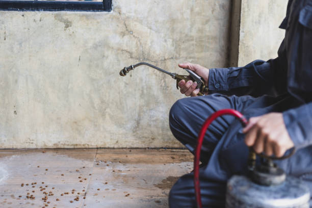 Best Emergency Pest Control  in Garden City, MI