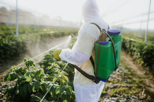 Best Local Pest Control Services  in Garden City, MI